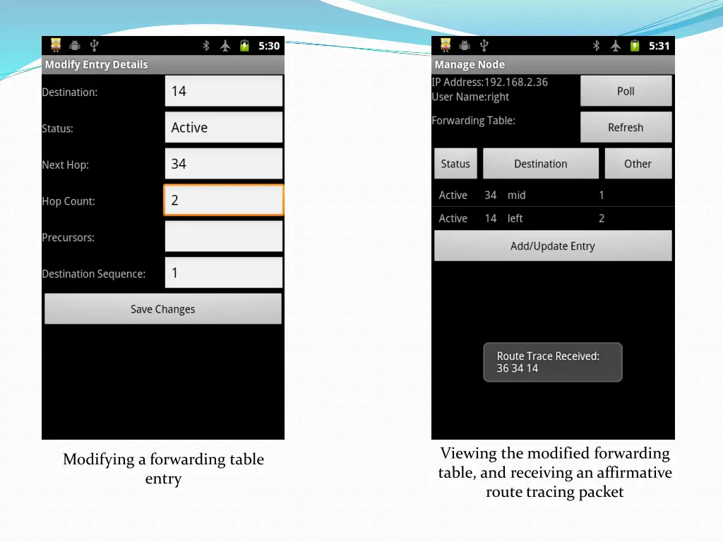 viewing the modified forwarding table