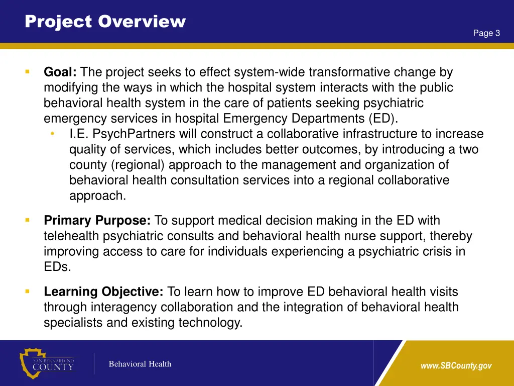 project overview