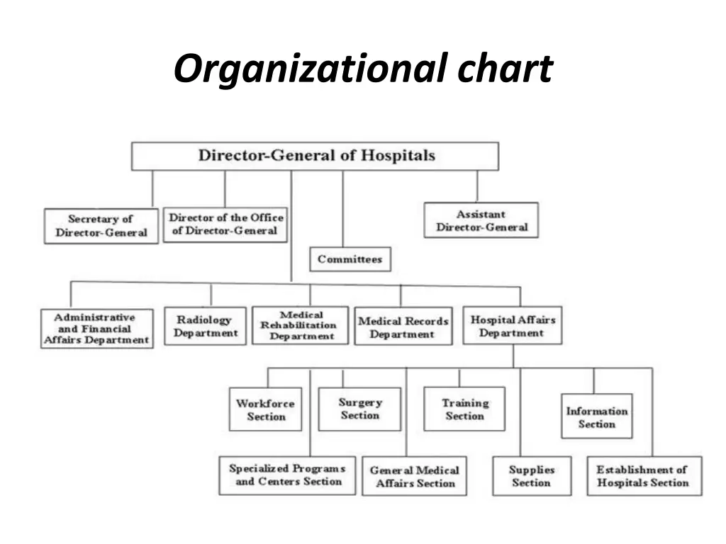 organizational chart 1