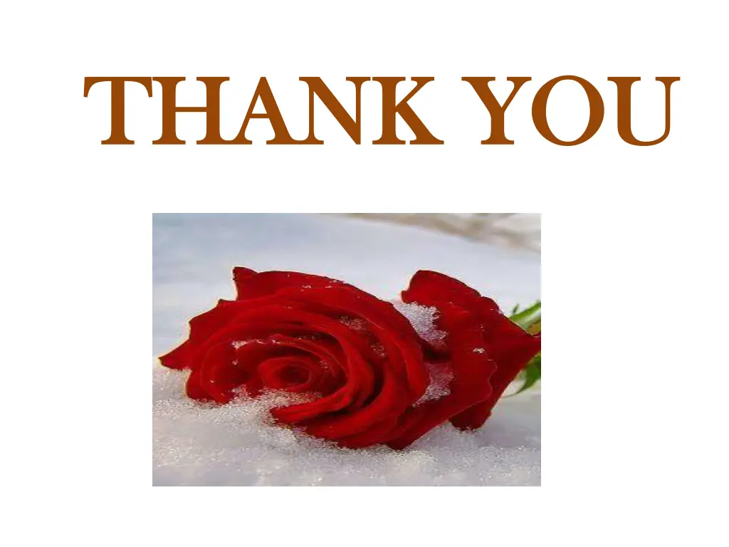 thank you thank you
