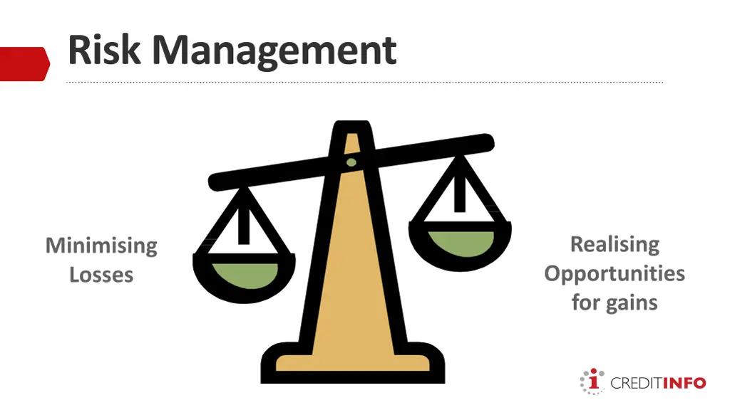 risk management