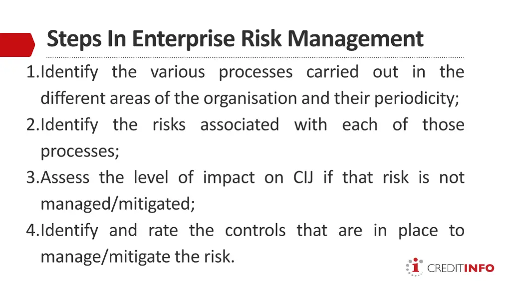 steps in enterprise risk management