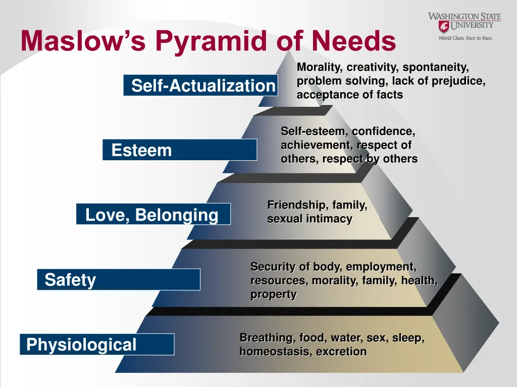 maslow s pyramid of needs