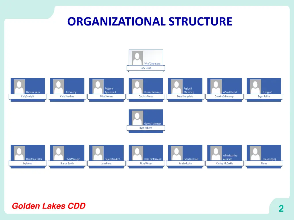 organizational structure