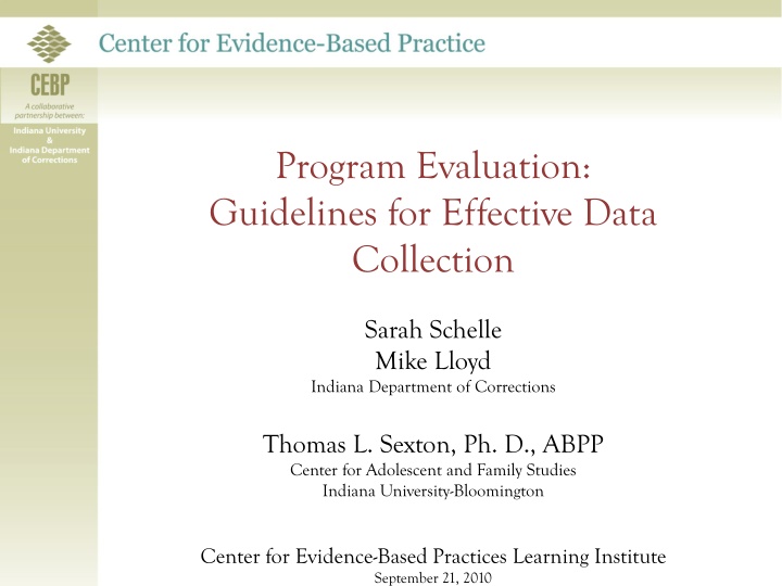 program evaluation guidelines for effective data