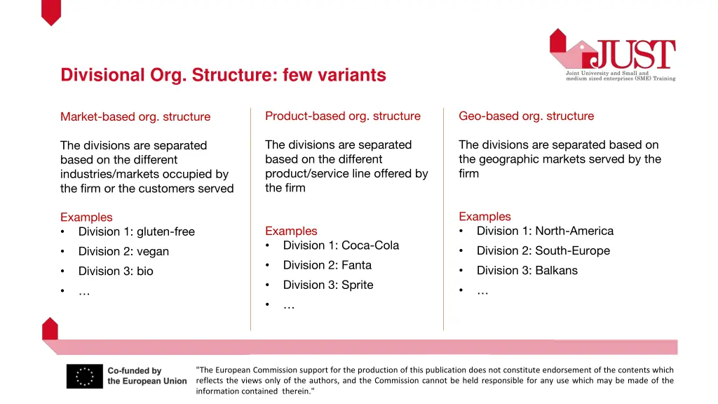 divisional org structure few variants