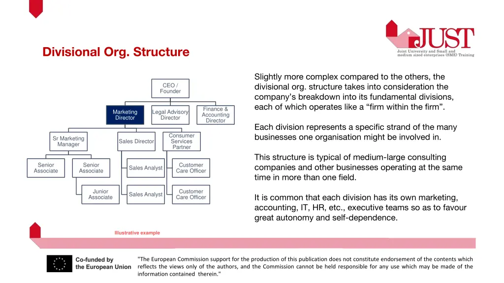 divisional org structure