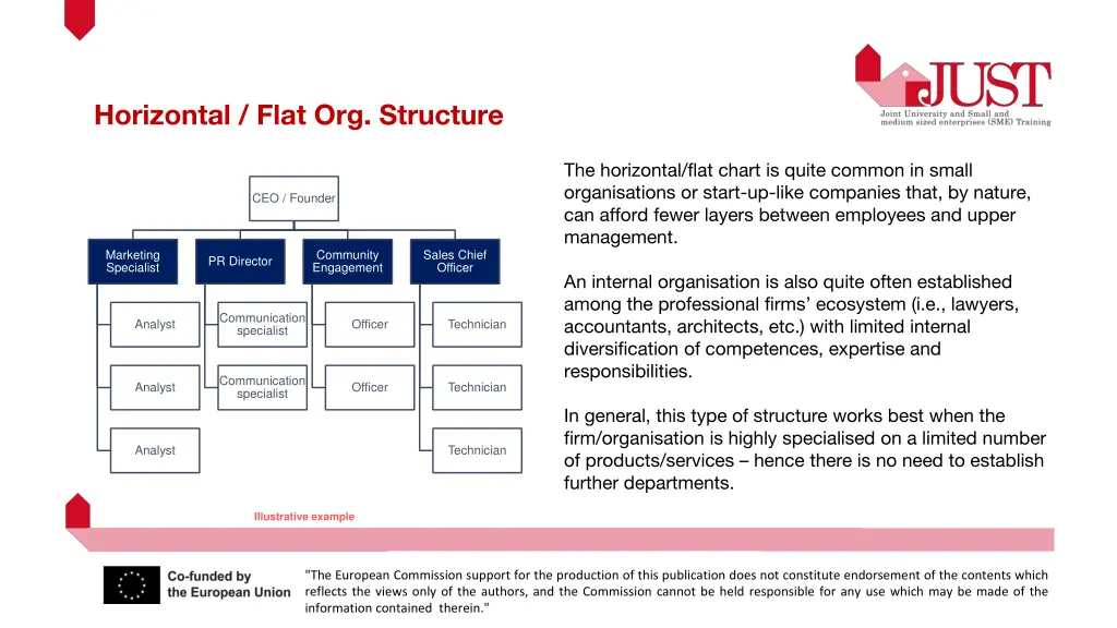 horizontal flat org structure