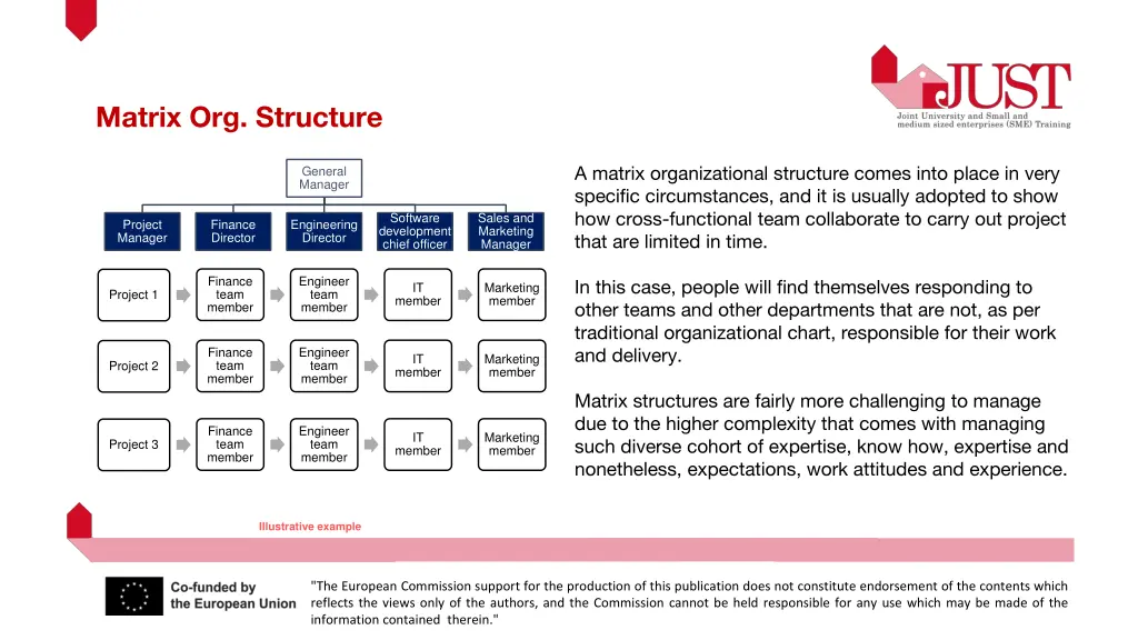 matrix org structure
