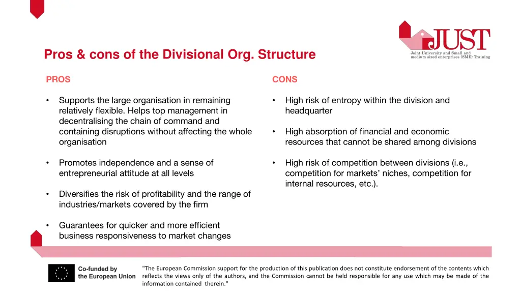 pros cons of the divisional org structure