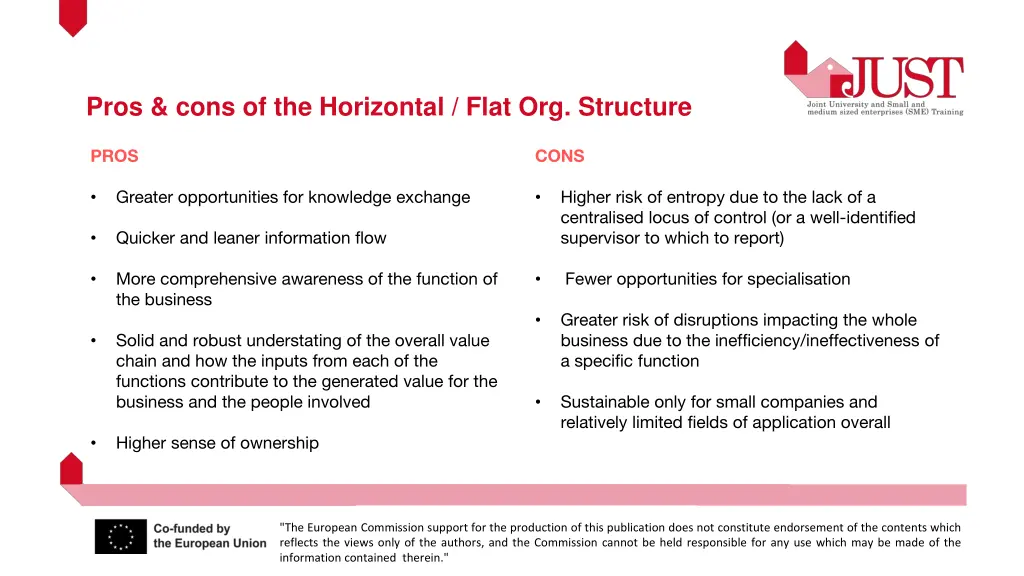 pros cons of the horizontal flat org structure
