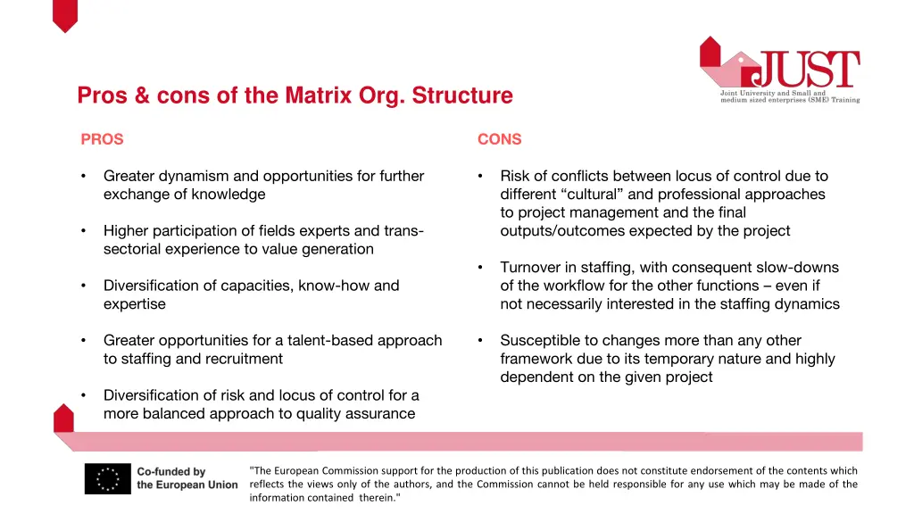 pros cons of the matrix org structure