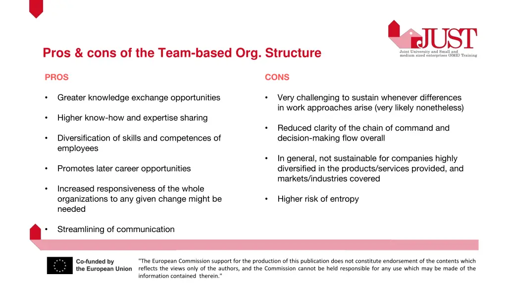 pros cons of the team based org structure