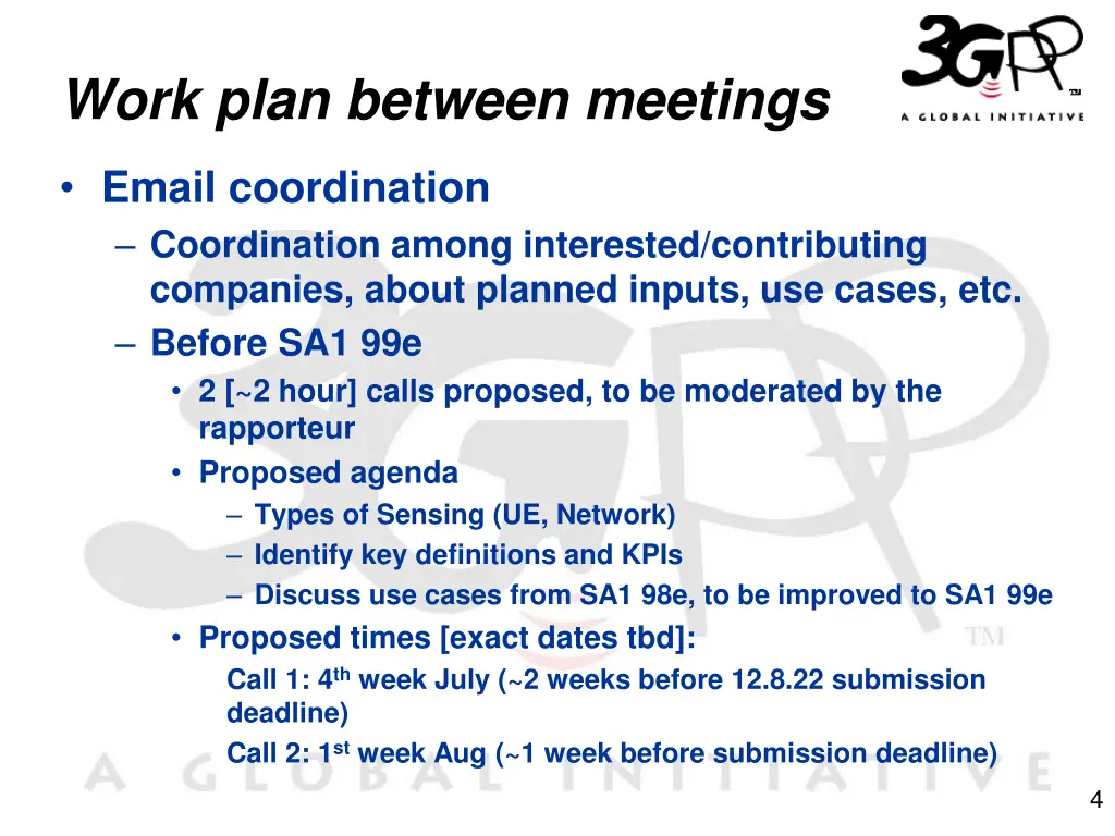 work plan between meetings