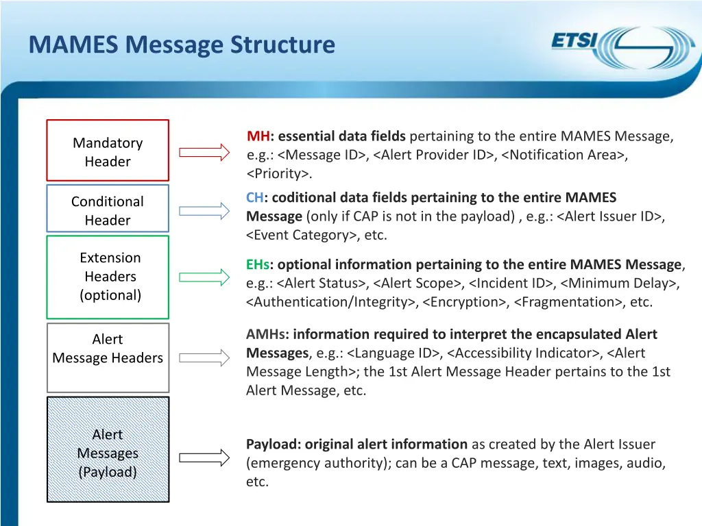 mames message structure