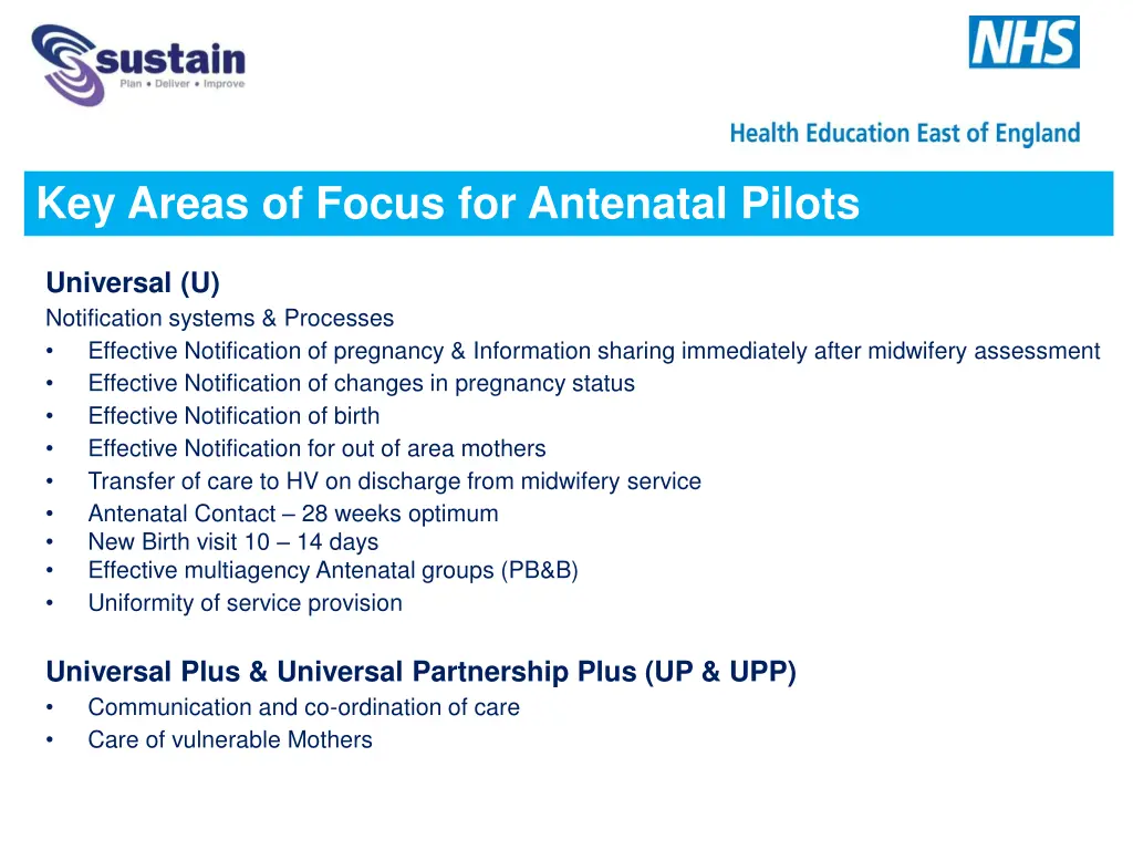 key areas of focus for antenatal pilots