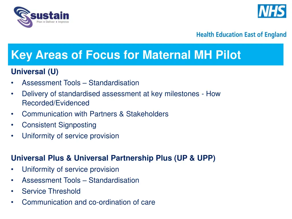 key areas of focus for maternal mh pilot