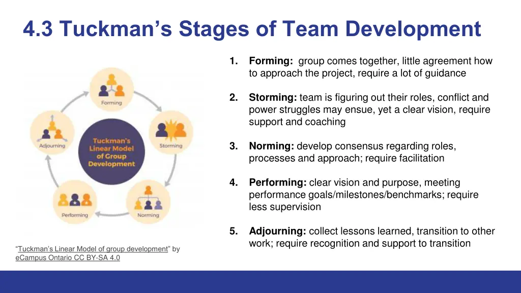 4 3 tuckman s stages of team development