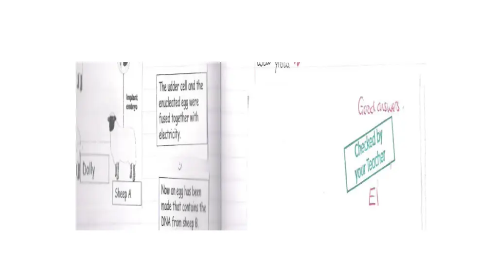 slide5