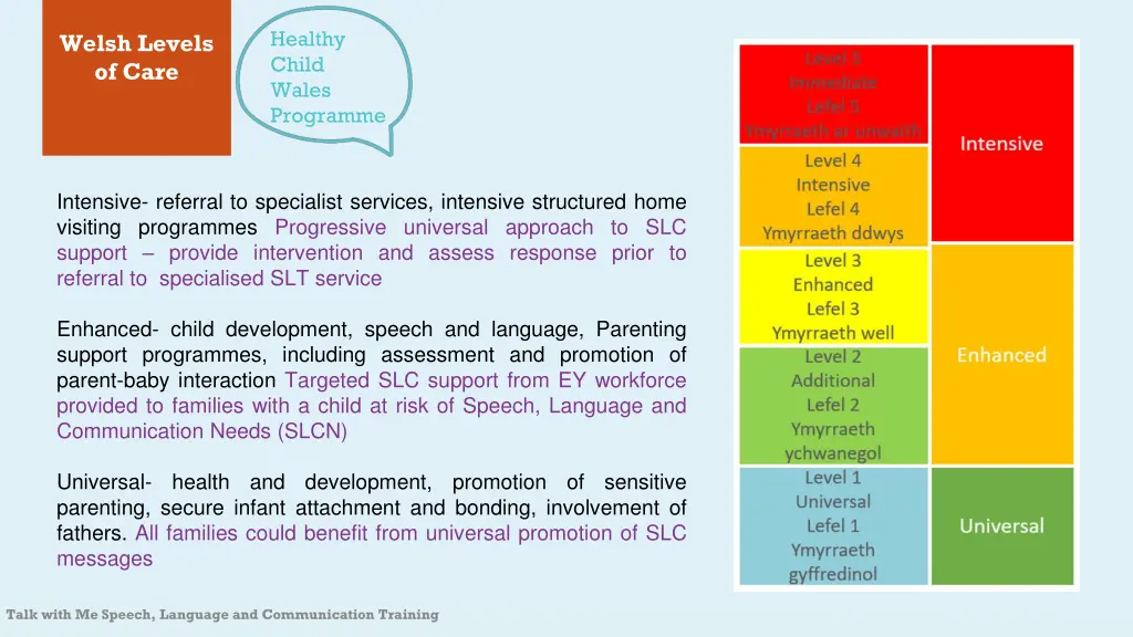 healthy child wales programme