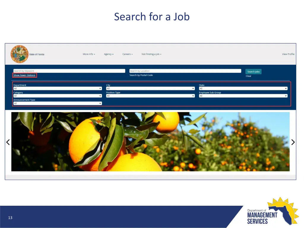 search for a job 1
