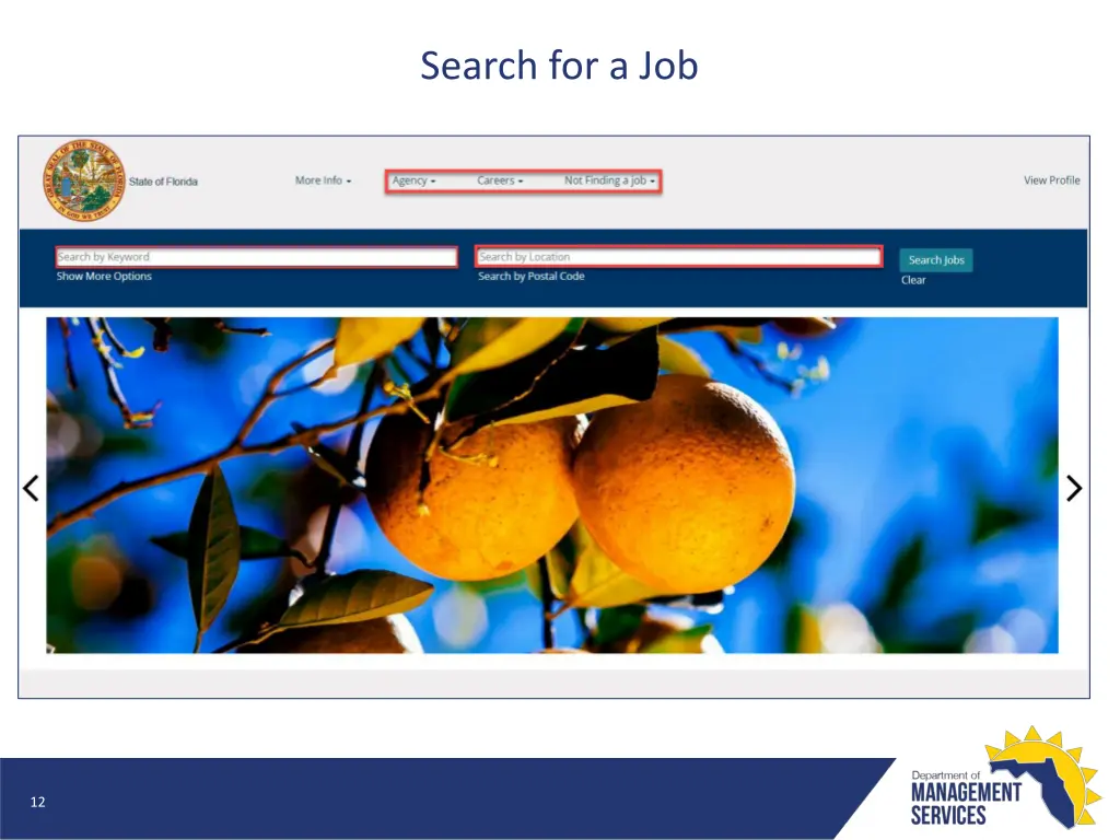 search for a job