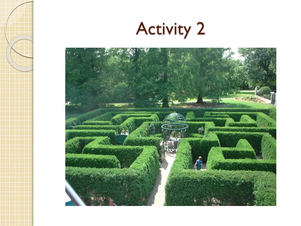 activity 2
