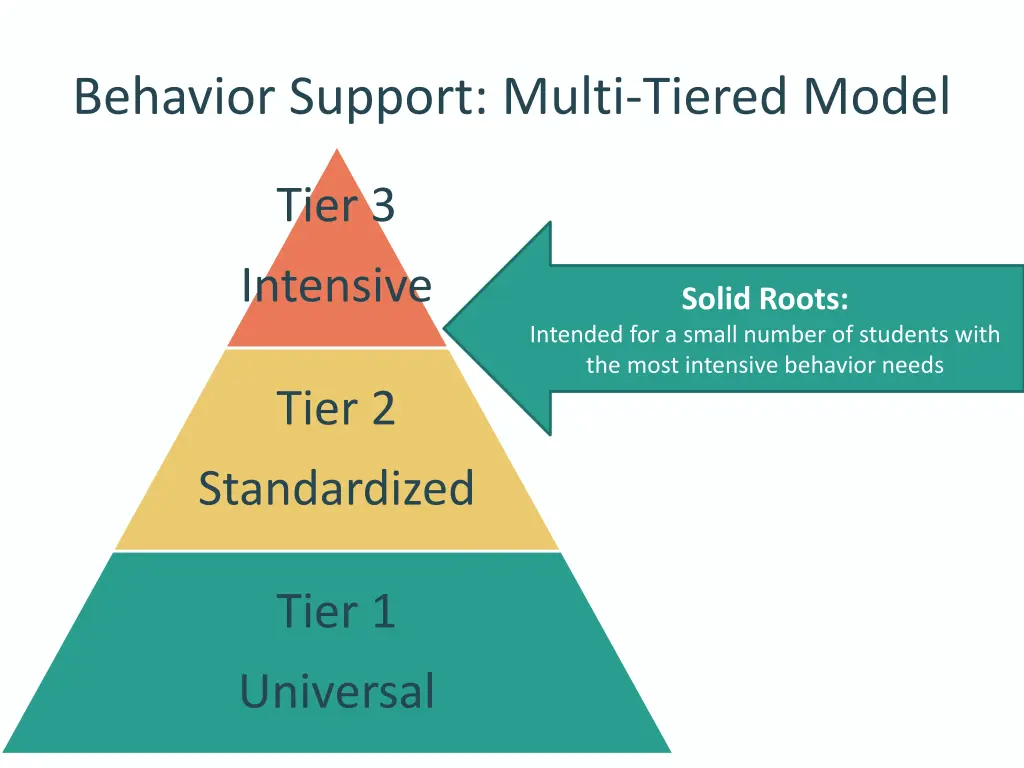 behavior support multi tiered model