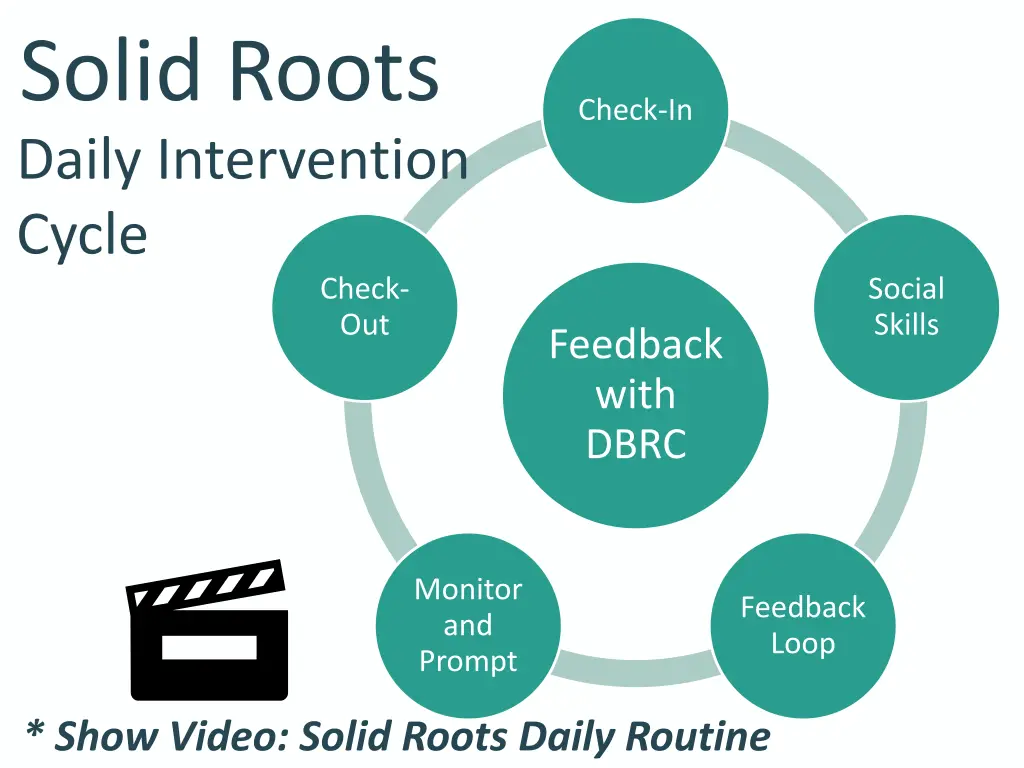solid roots daily intervention cycle