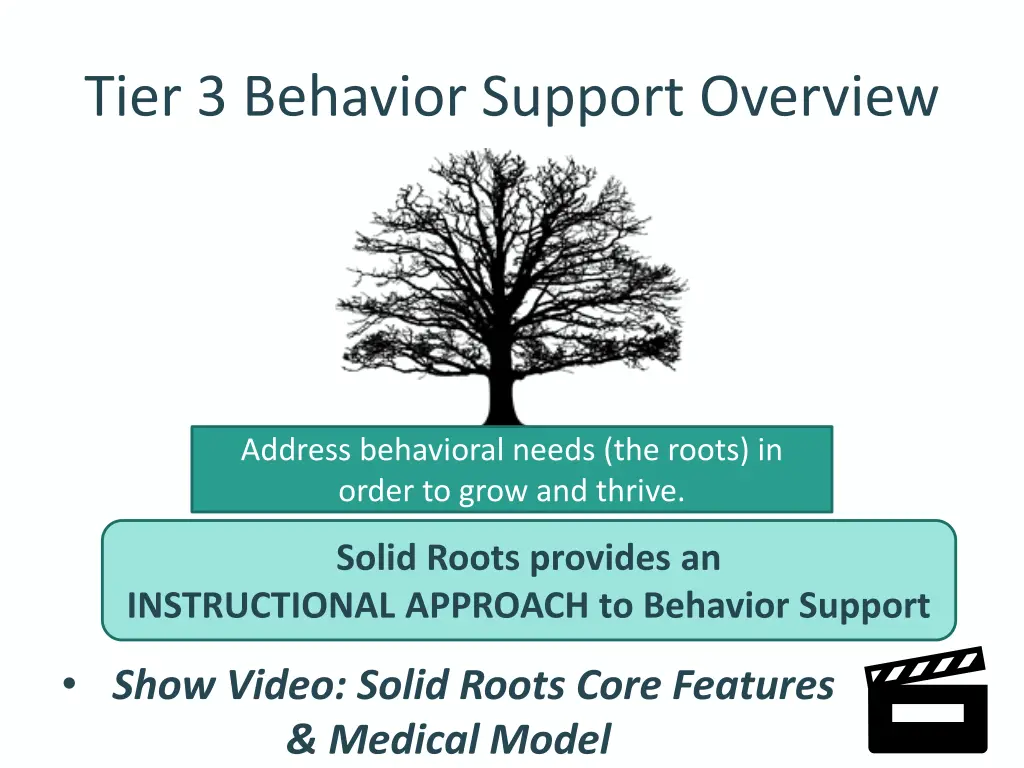 tier 3 behavior support overview