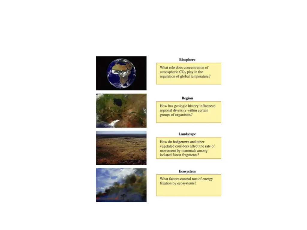 slide4