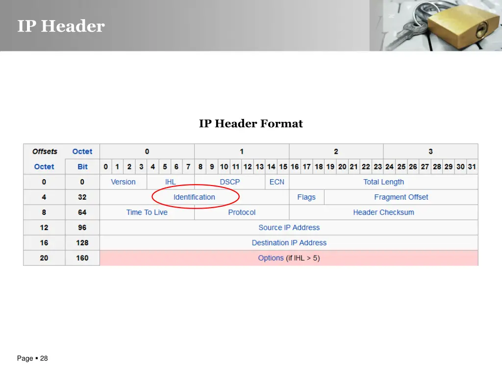 ip header 1