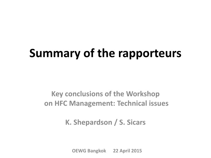 summary of the rapporteurs