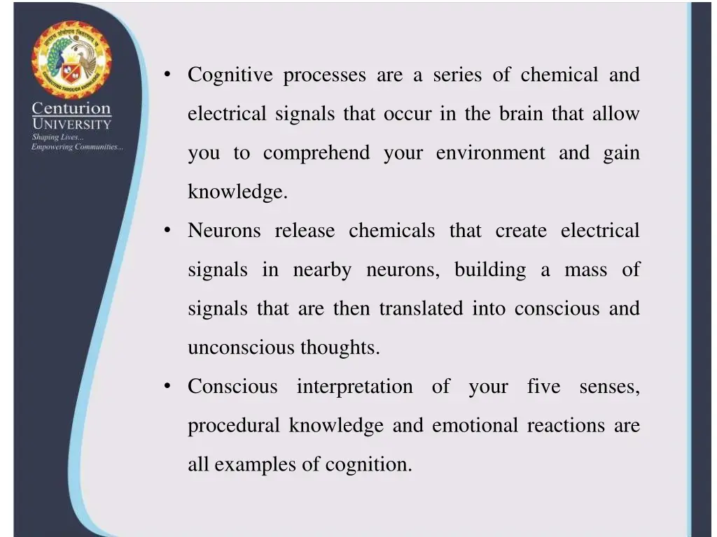 cognitive processes are a series of chemical and