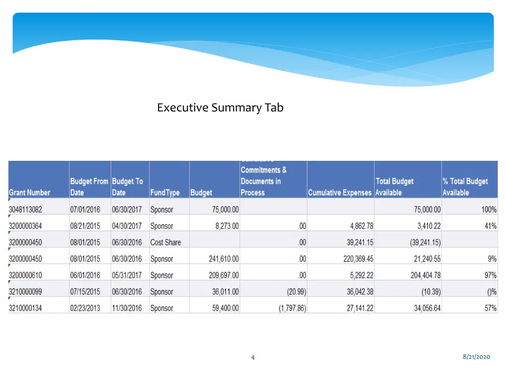 executive summary tab