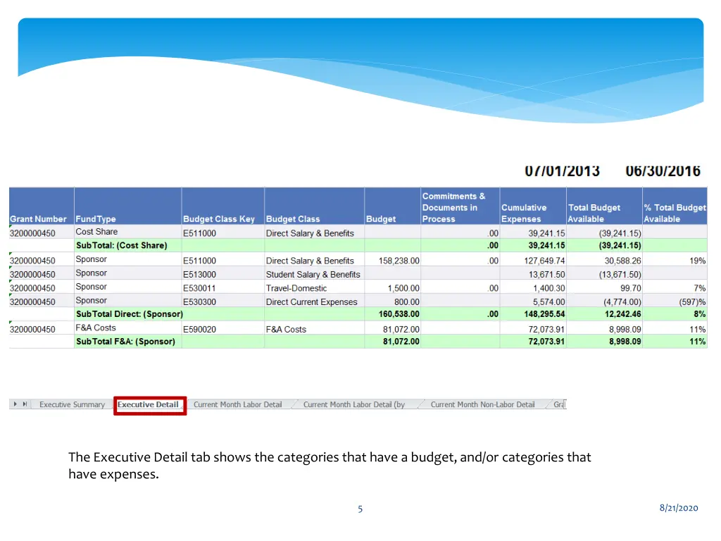 the executive detail tab shows the categories