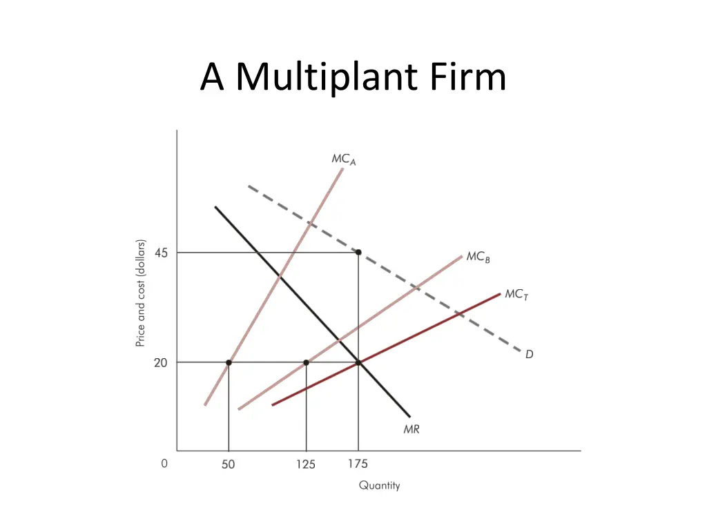 a multiplant firm