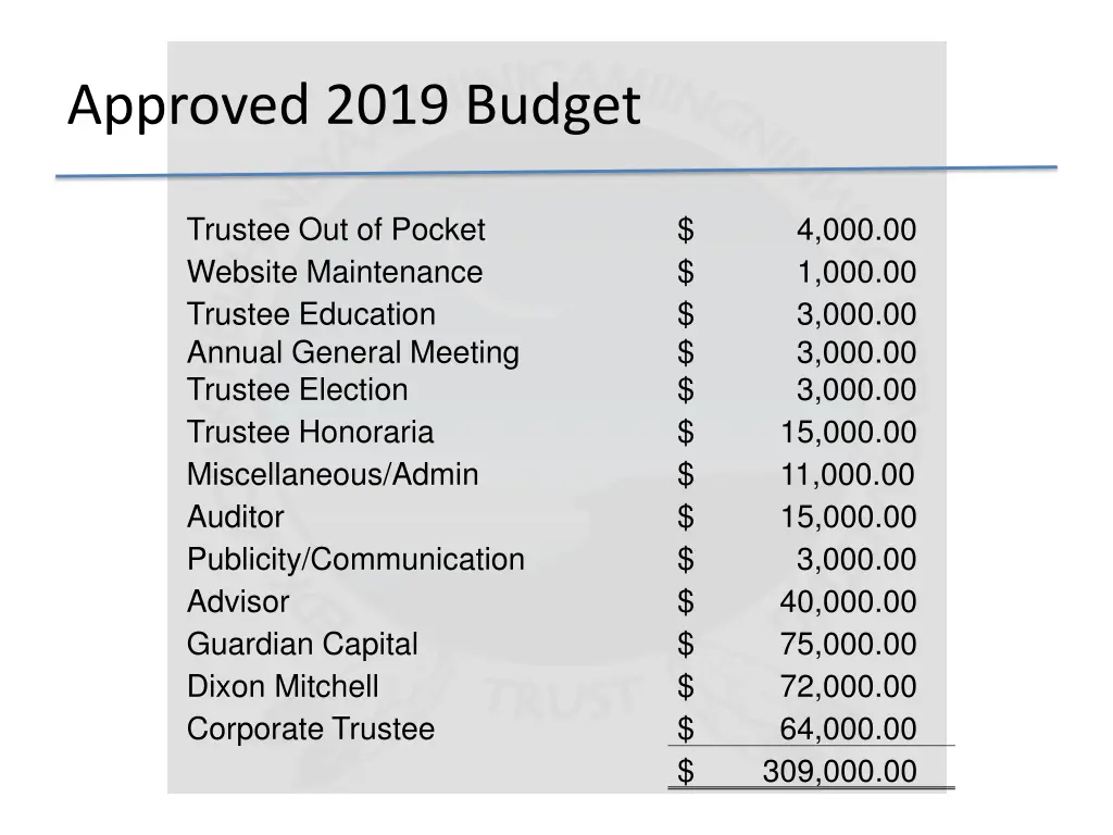 approved 2019 budget