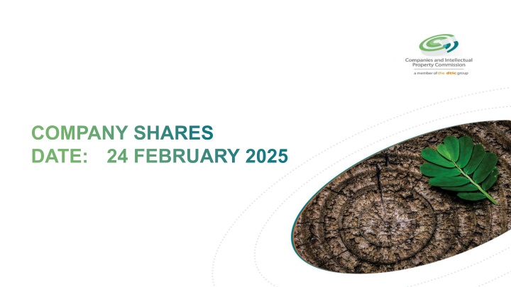 company shares date 24 february 2025