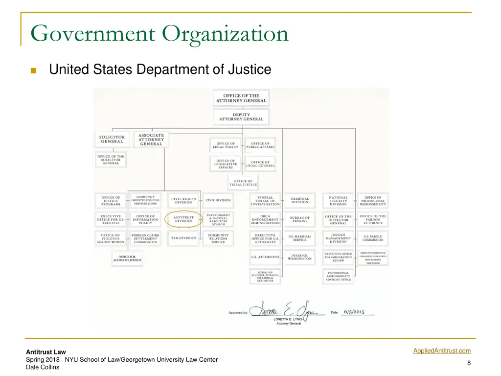 government organization