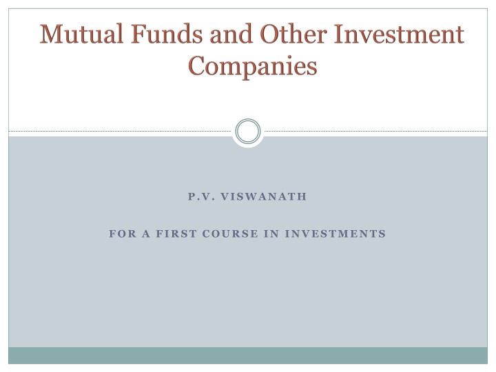 p v viswanath