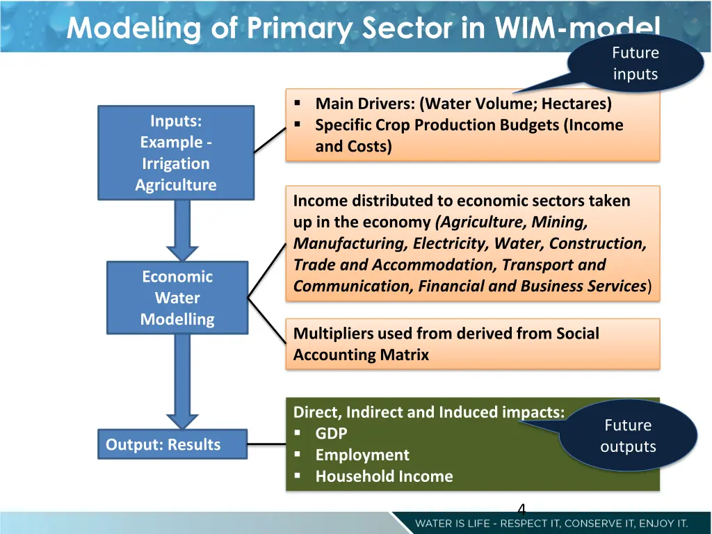 modeling of primary sector in wim model