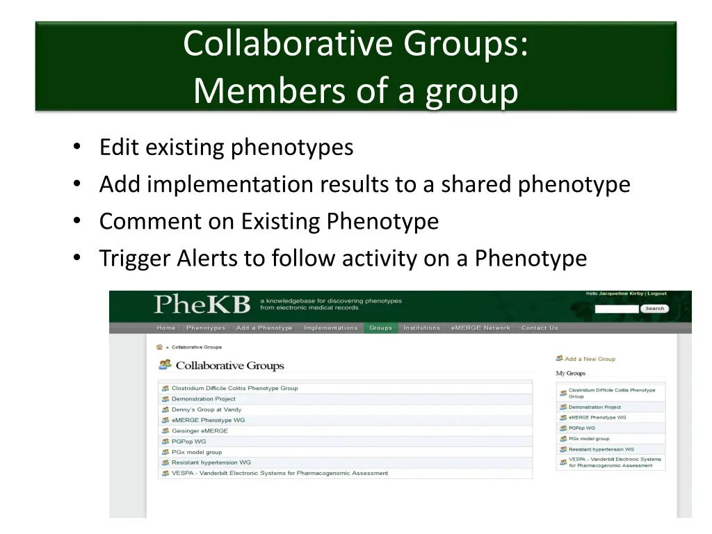 collaborative groups members of a group