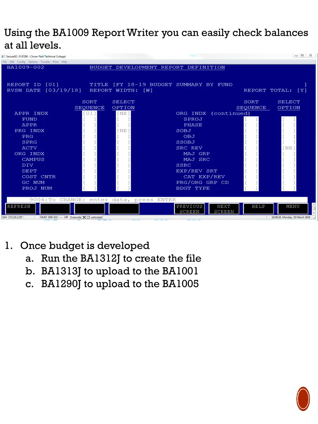 using the ba1009 report writer you can easily