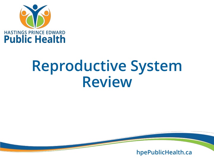 reproductive system review