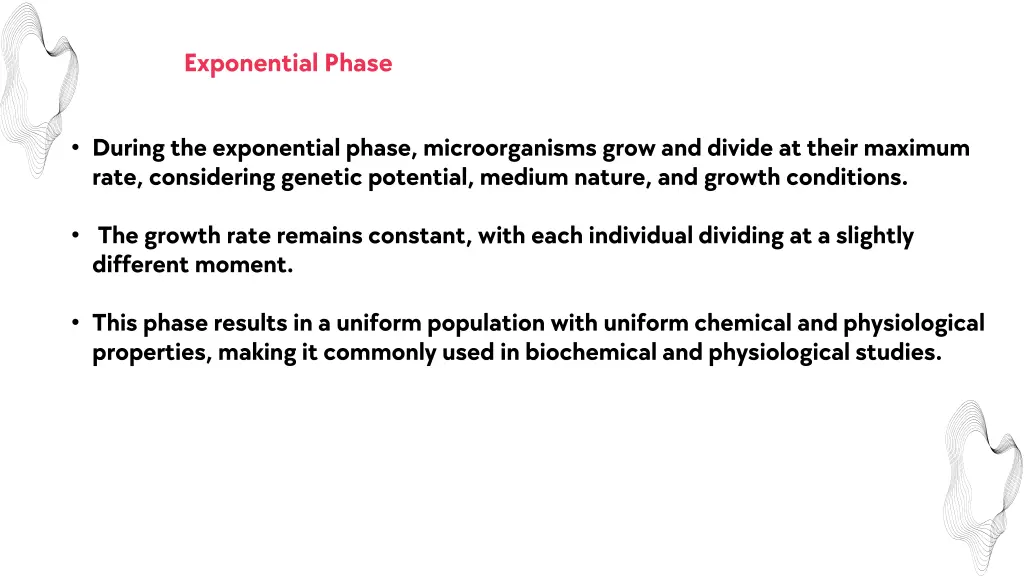 exponential phase
