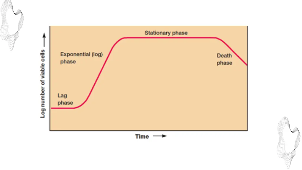 slide8