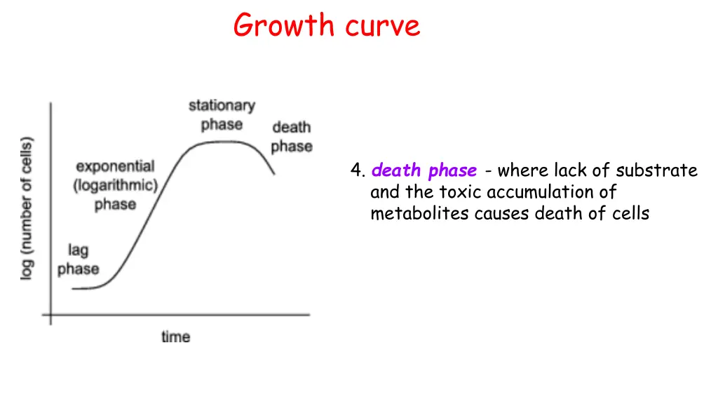 growth curve 2