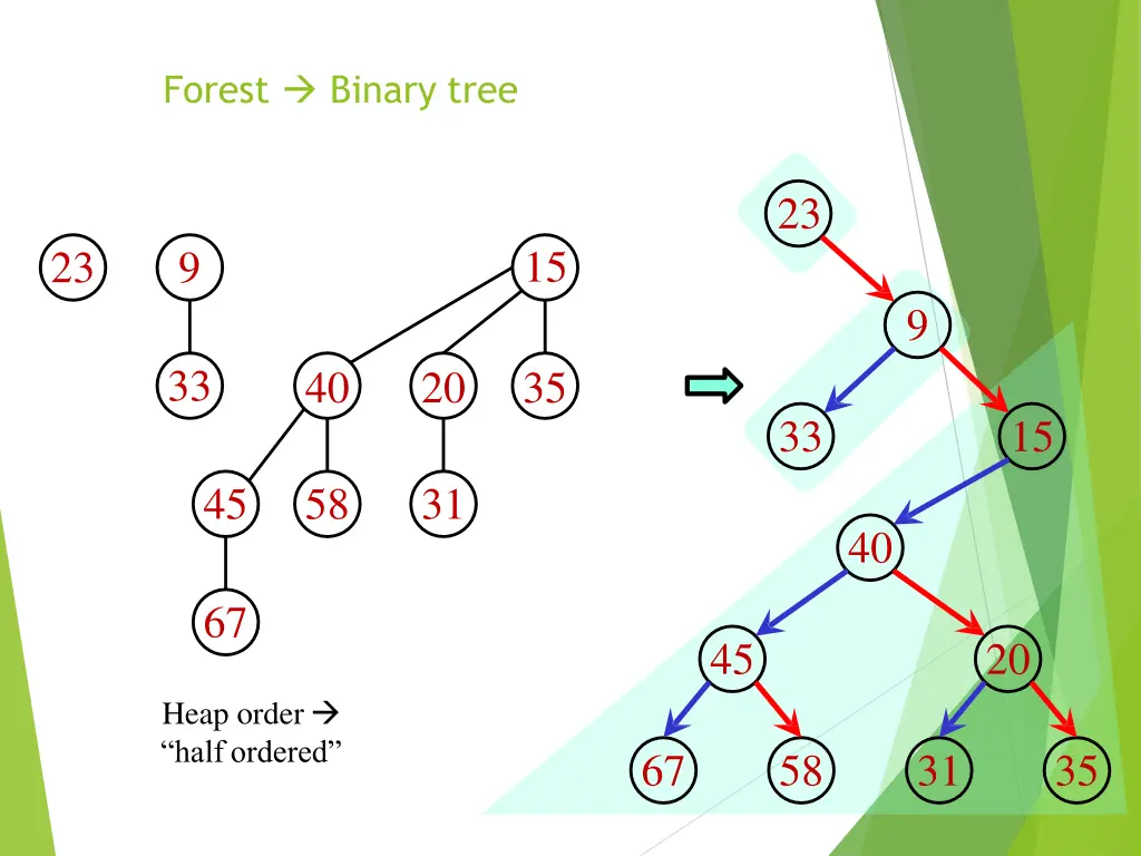 forest binary tree