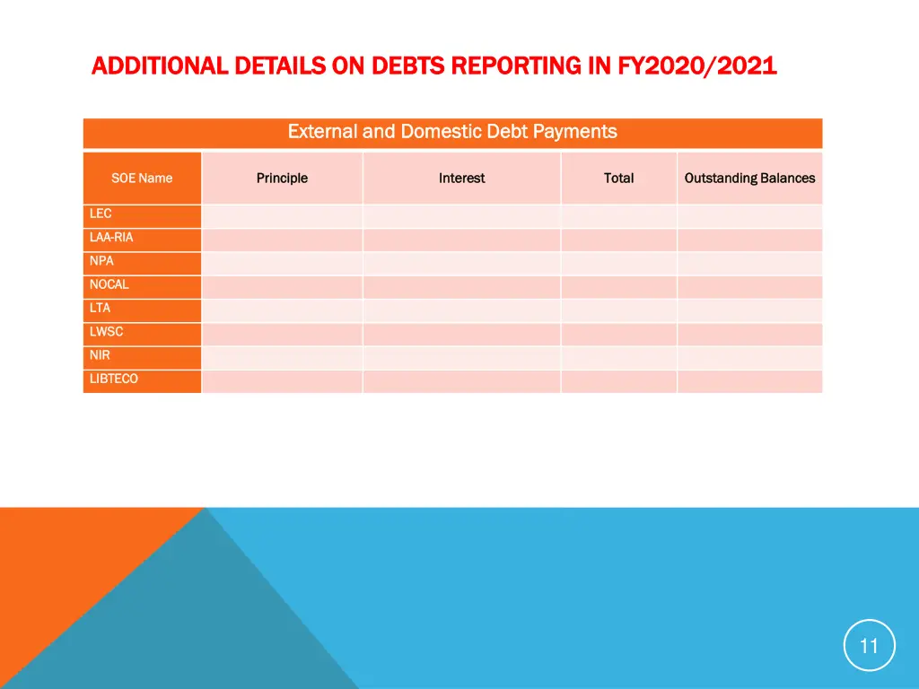 additional details on debts reporting in fy2020